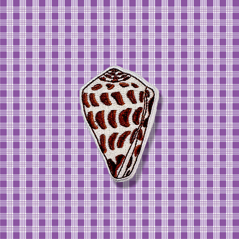 Hebrew Cone Shell – Da Sistah Marys