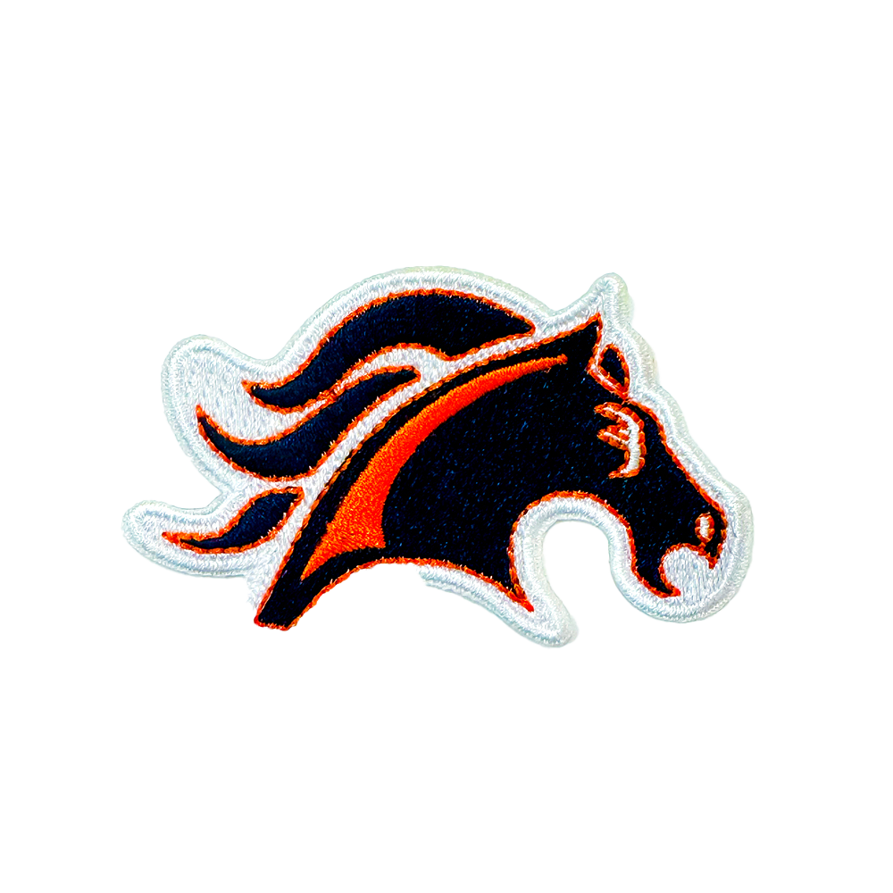 School Patch - Kalaheo