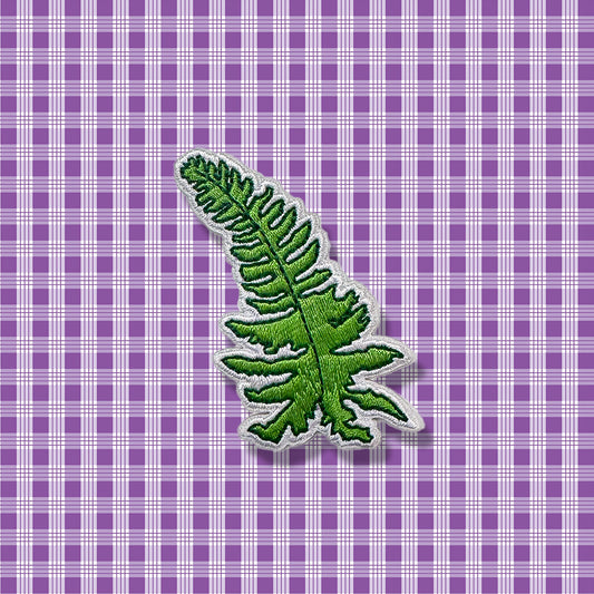 Palapalai Fern Patch